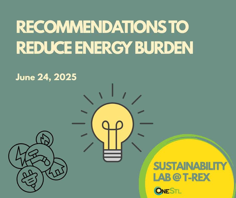 Sustainability Lab June